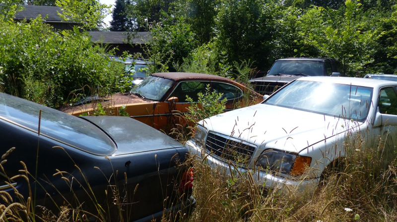 Illustration for article titled A Michigan Town Is Forcing This Man To Sell 20 Old Cars Off His Property Every Month